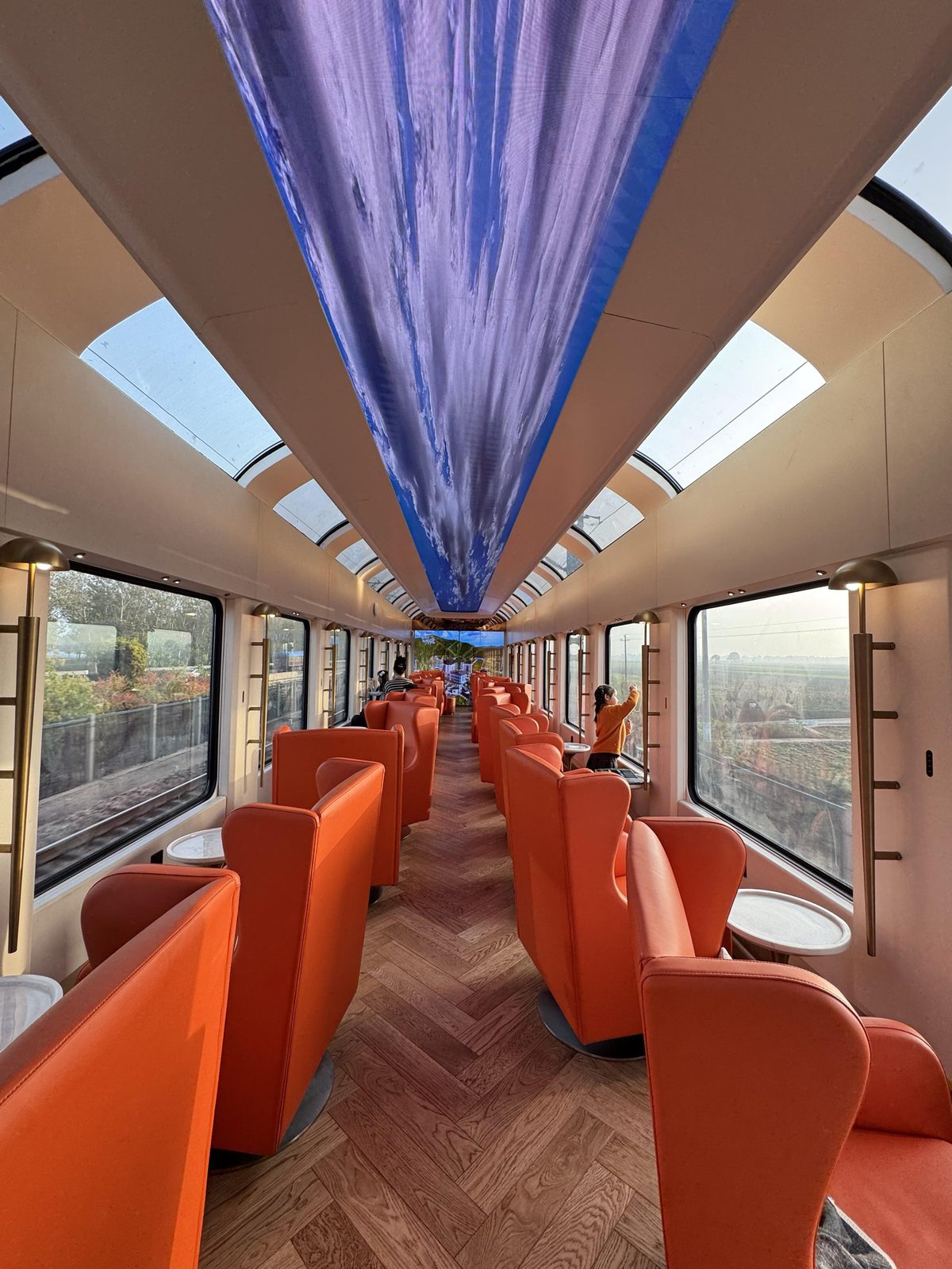Starlight Yanzhao Express panoramic tourist train